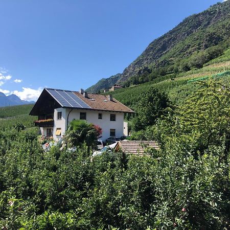 卡斯泰尔贝洛Pixnerhof - Urlaub Am Biohof公寓 外观 照片