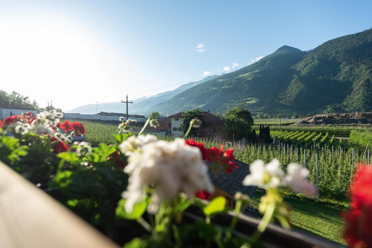 卡斯泰尔贝洛Pixnerhof - Urlaub Am Biohof公寓 外观 照片