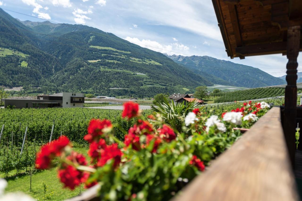 卡斯泰尔贝洛Pixnerhof - Urlaub Am Biohof公寓 外观 照片