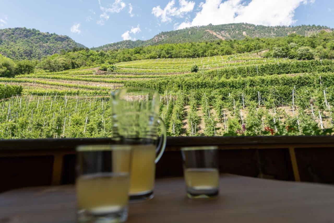 卡斯泰尔贝洛Pixnerhof - Urlaub Am Biohof公寓 外观 照片