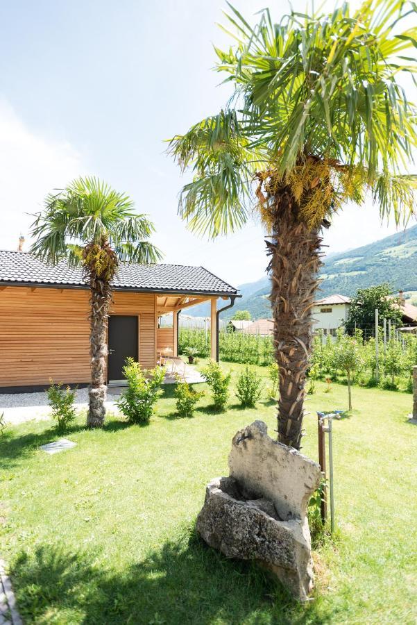 卡斯泰尔贝洛Pixnerhof - Urlaub Am Biohof公寓 外观 照片
